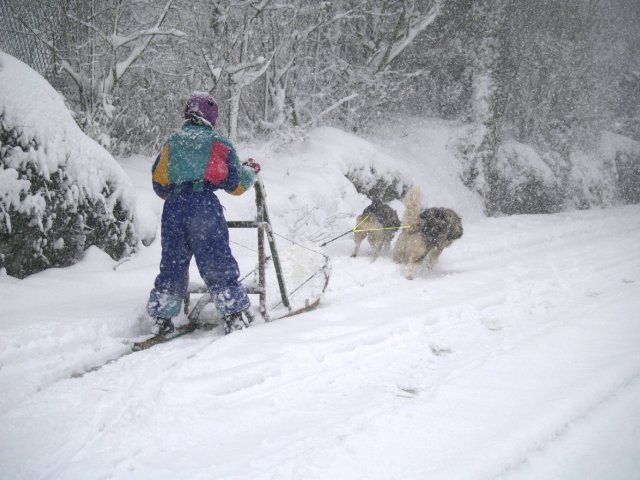 Sur les traces de son père