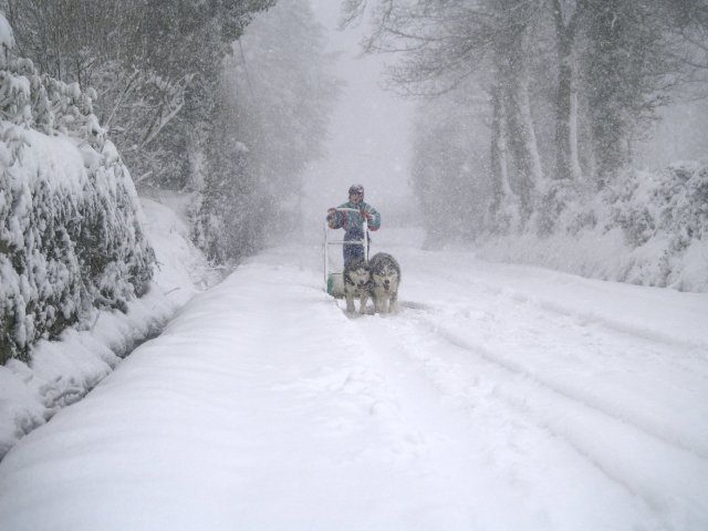 Sur les traces de son père