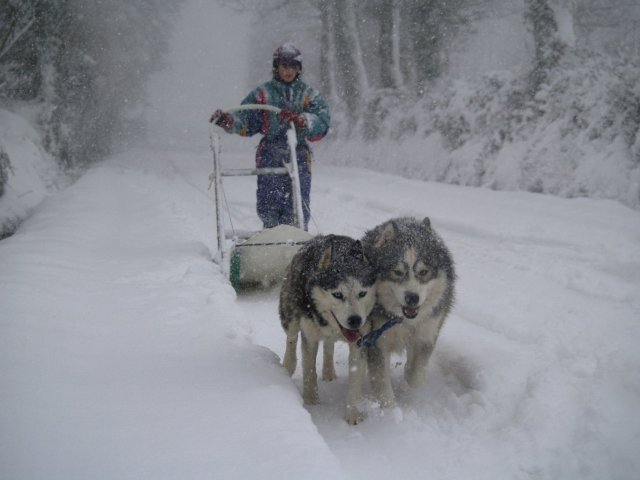 Sur les traces de son père