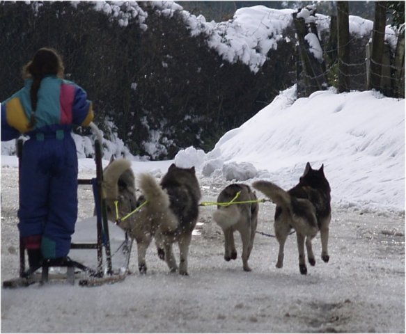 Sur les traces de son père