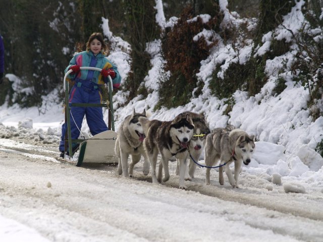 Sur les traces de son père