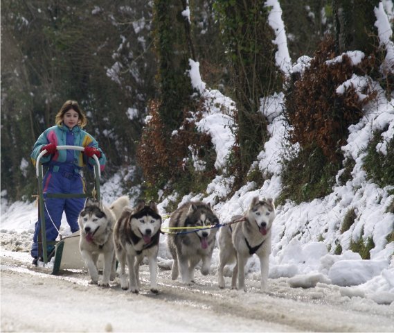 Sur les traces de son père