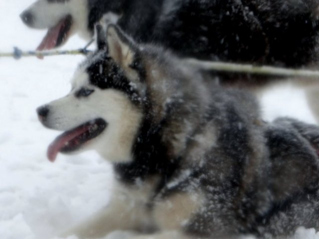 Rando - 11 mars 2013