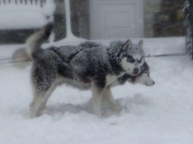 Rando - 11 mars 2013