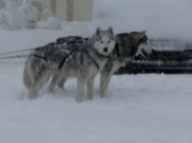 Rando - 11 mars 2013