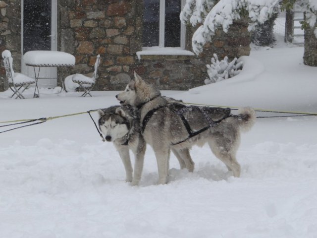 Rando - 11 mars 2013