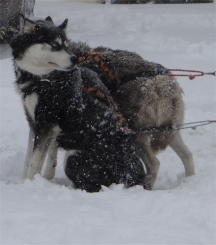 Rando - 11 mars 2013