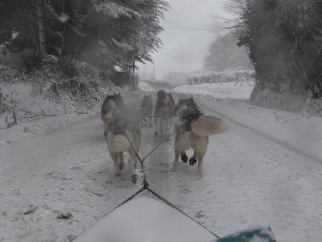 Rando - 11 mars 2013