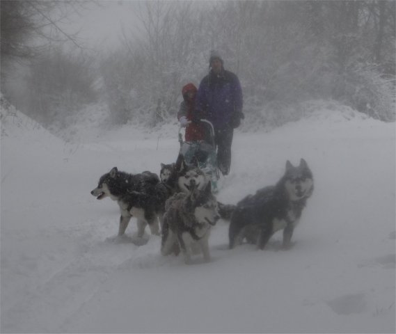 Rando - 11 mars 2013