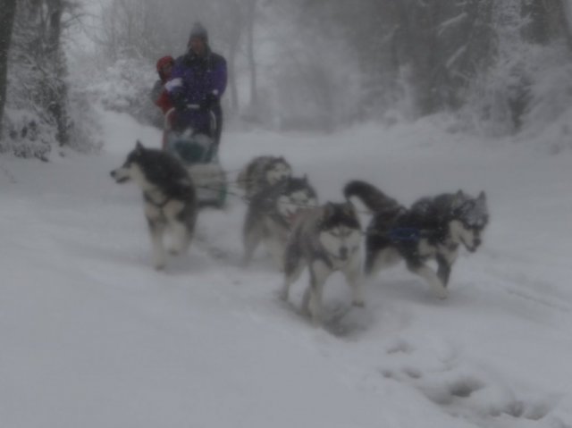 Rando - 11 mars 2013