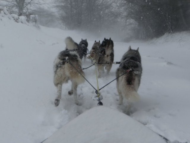 Rando - 11 mars 2013