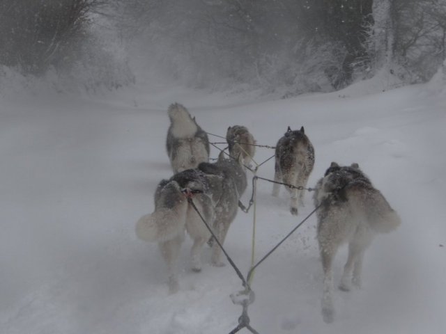 Rando - 11 mars 2013