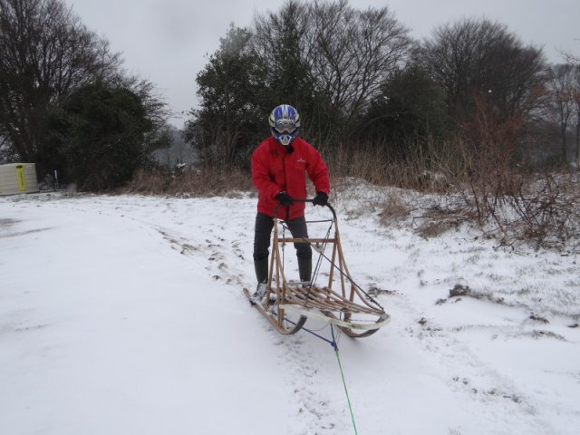 Traîneau - 29 février 2018