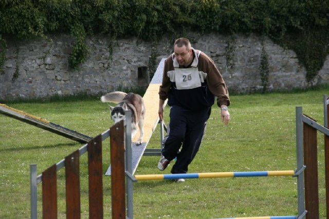 Uzzle, un nouveau champion