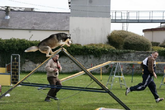 Uzzle, un nouveau champion