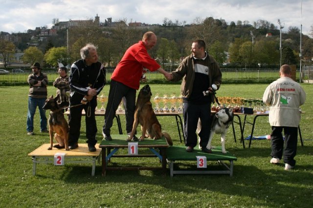Uzzle, un nouveau champion