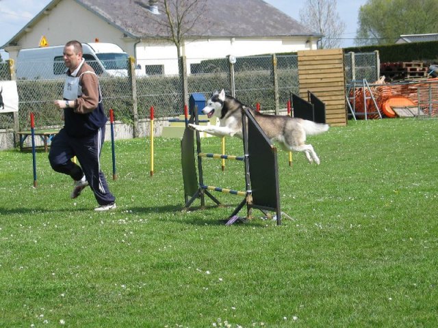 Uzzle, un nouveau champion