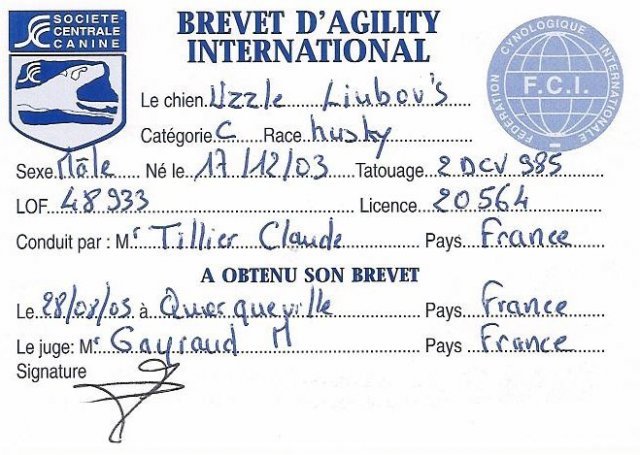 Uzzle, un nouveau champion