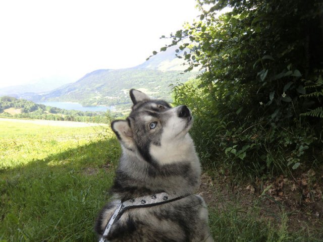 Vacances de Crypton, Polaire et Flosh - part1