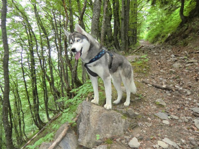 Vacances de Crypton, Polaire et Flosh - part1