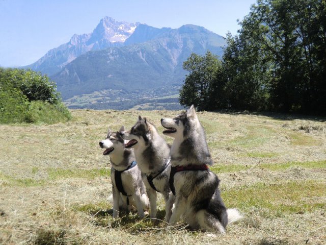 Vacances de Crypton, Polaire et Flosh - part1