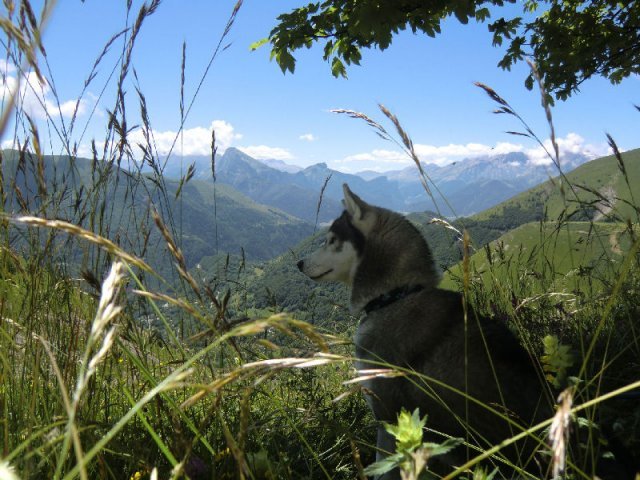 Vacances de Crypton, Polaire et Flosh - part1