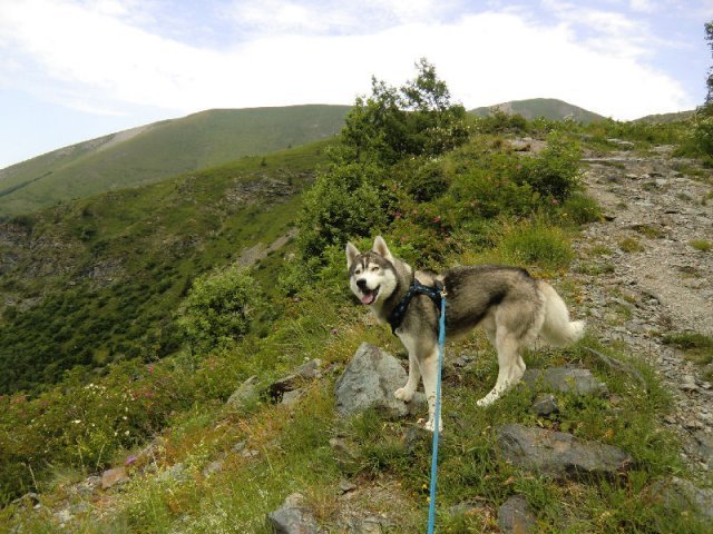 Vacances de Crypton, Polaire et Flosh - part1