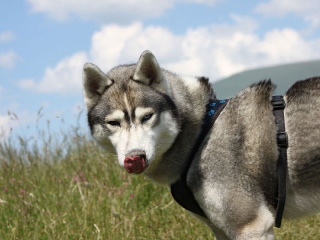 Vacances de Crypton, Polaire et Flosh - part1