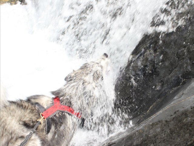 Vacances de Crypton, Polaire et Flosh - part1