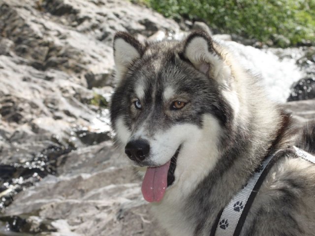 Vacances de Crypton, Polaire et Flosh - part1