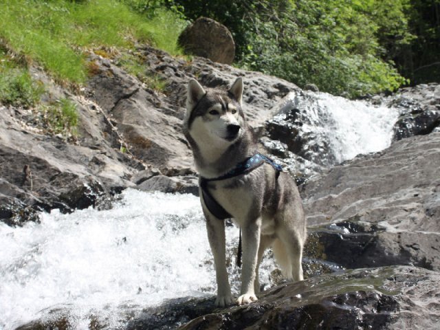 Vacances de Crypton, Polaire et Flosh - part1