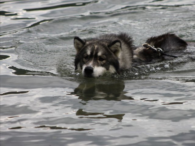 Vacances de Crypton, Polaire et Flosh - part1