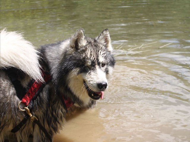 Vacances de Crypton, Polaire et Flosh - part1