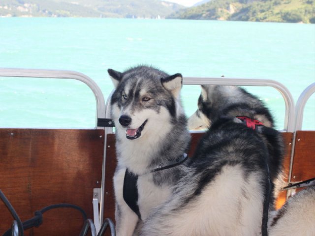 Vacances de Crypton, Polaire et Flosh - part1