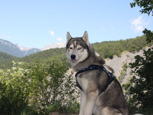 Vacances de Crypton, Polaire et Flosh - part1