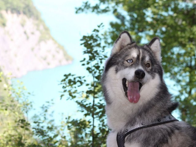 Vacances de Crypton, Polaire et Flosh - part1