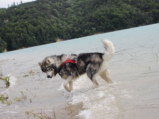 Vacances de Crypton, Polaire et Flosh - part1