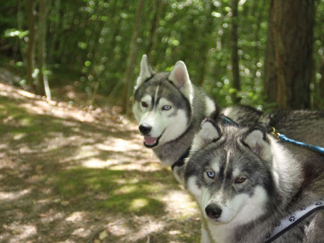 Vacances de Crypton, Polaire et Flosh - part1