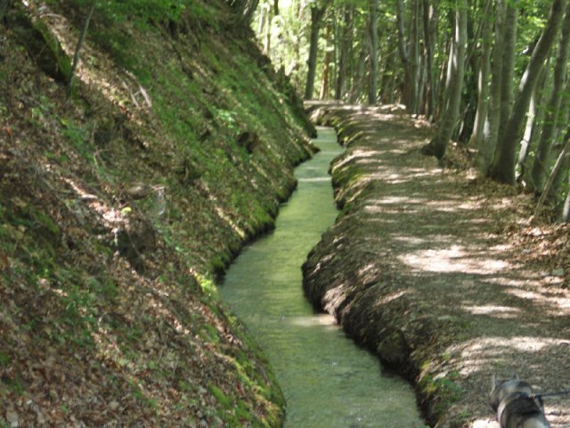 Vacances de Crypton, Polaire et Flosh - part1