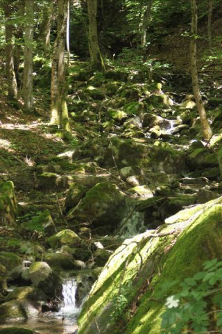 Vacances de Crypton, Polaire et Flosh - part1