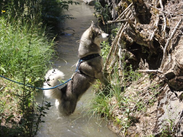 Vacances de Crypton, Polaire et Flosh - part1