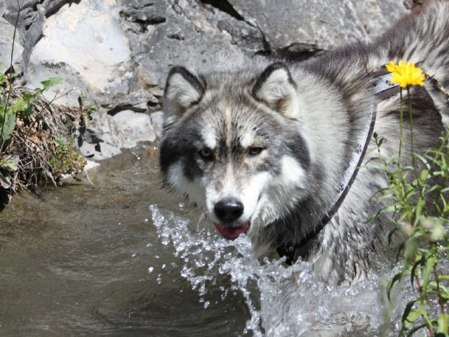 Vacances de Crypton, Polaire et Flosh - part1