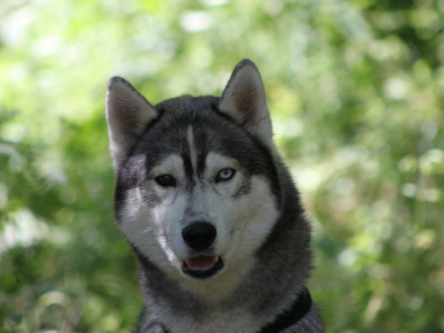 Vacances de Crypton, Polaire et Flosh - part1