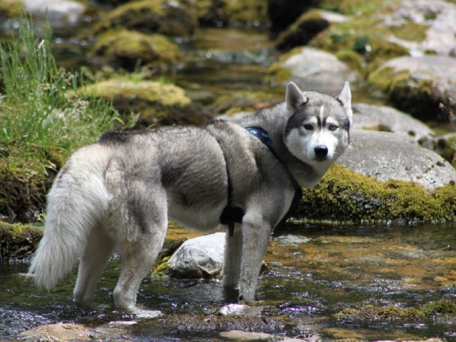 Vacances de Crypton, Polaire et Flosh - part1