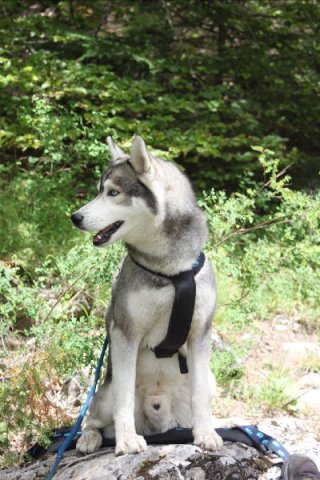 Vacances de Crypton, Polaire et Flosh - part1