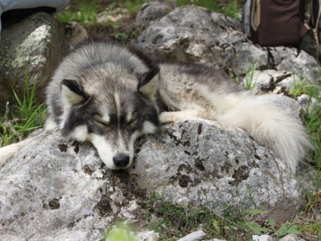 Vacances de Crypton, Polaire et Flosh - part1