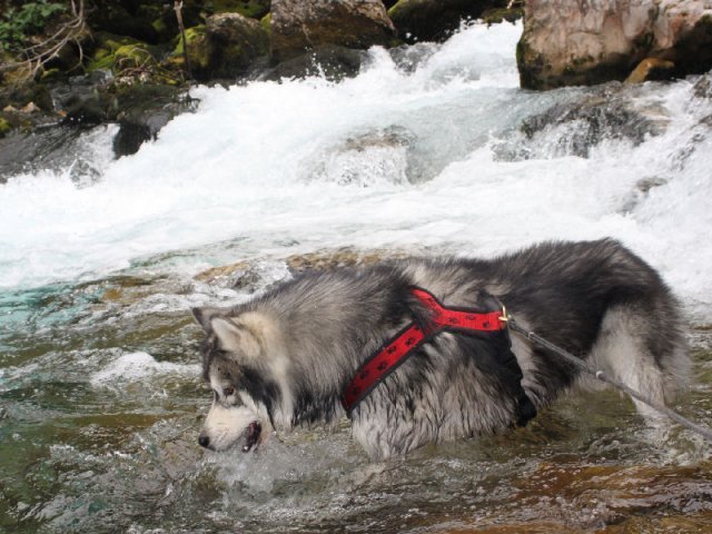 Vacances de Crypton, Polaire et Flosh - part2