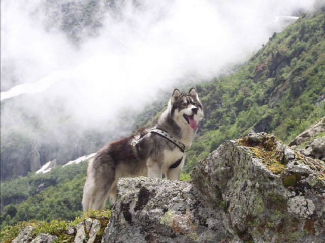 Vacances de Crypton, Polaire et Flosh - part2