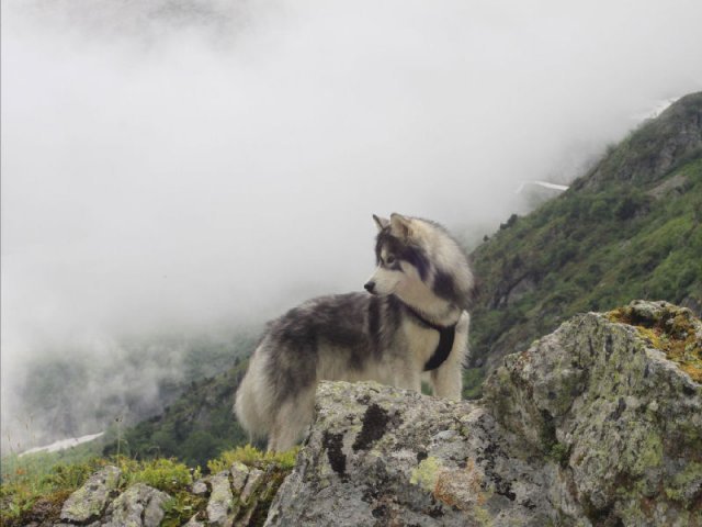 Vacances de Crypton, Polaire et Flosh - part2