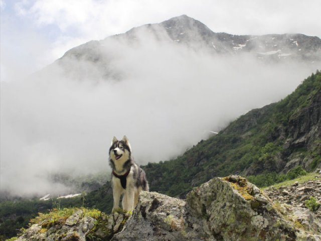 Vacances de Crypton, Polaire et Flosh - part2